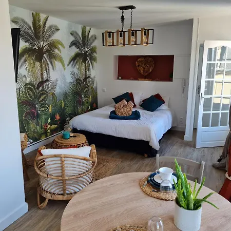 Ilot Desille Apartment *