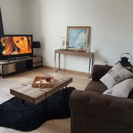 公寓 Ilot Desille 滨海布洛涅