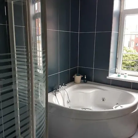 Ilot Desille 公寓 *