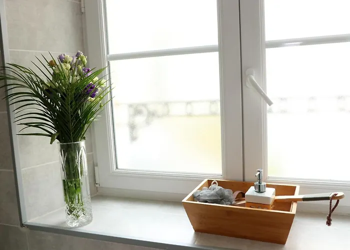 Ilot Désille Appartement *