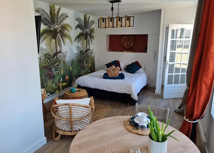 Ilot Désille Appartement *